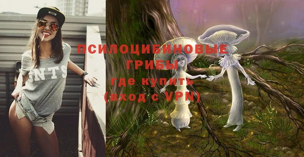 крисы Алексеевка