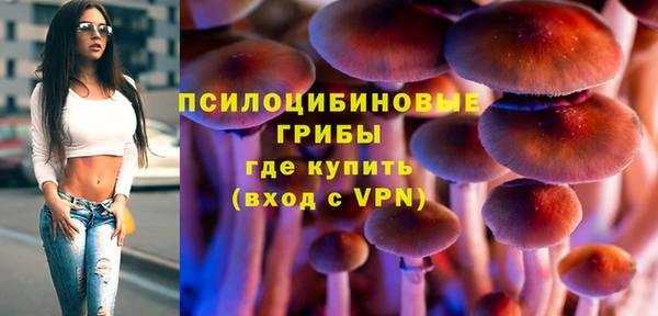 крисы Алексеевка