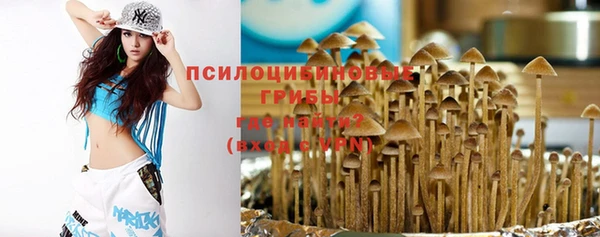 наркотики Алексин