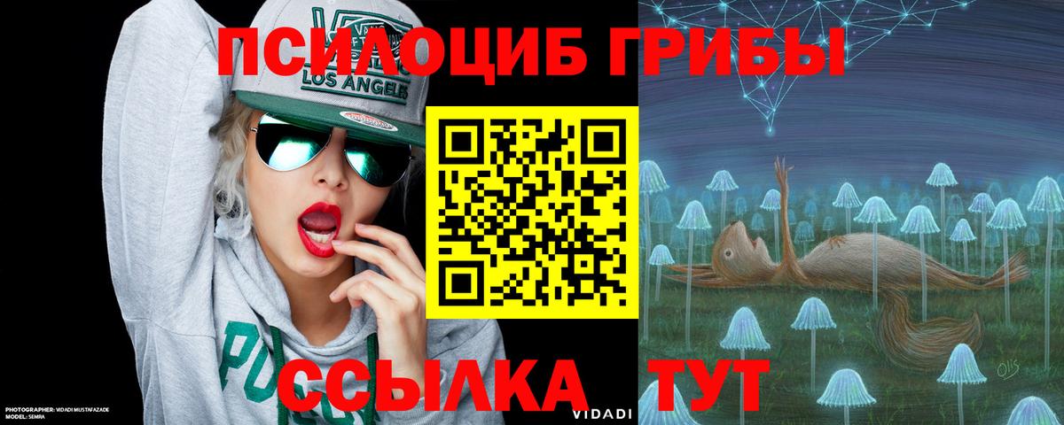 цены   Вход с VPN  Галлюциногенные грибы Psilocybine cubensis  Ижевск  Галлюциногенные грибы мухоморы 